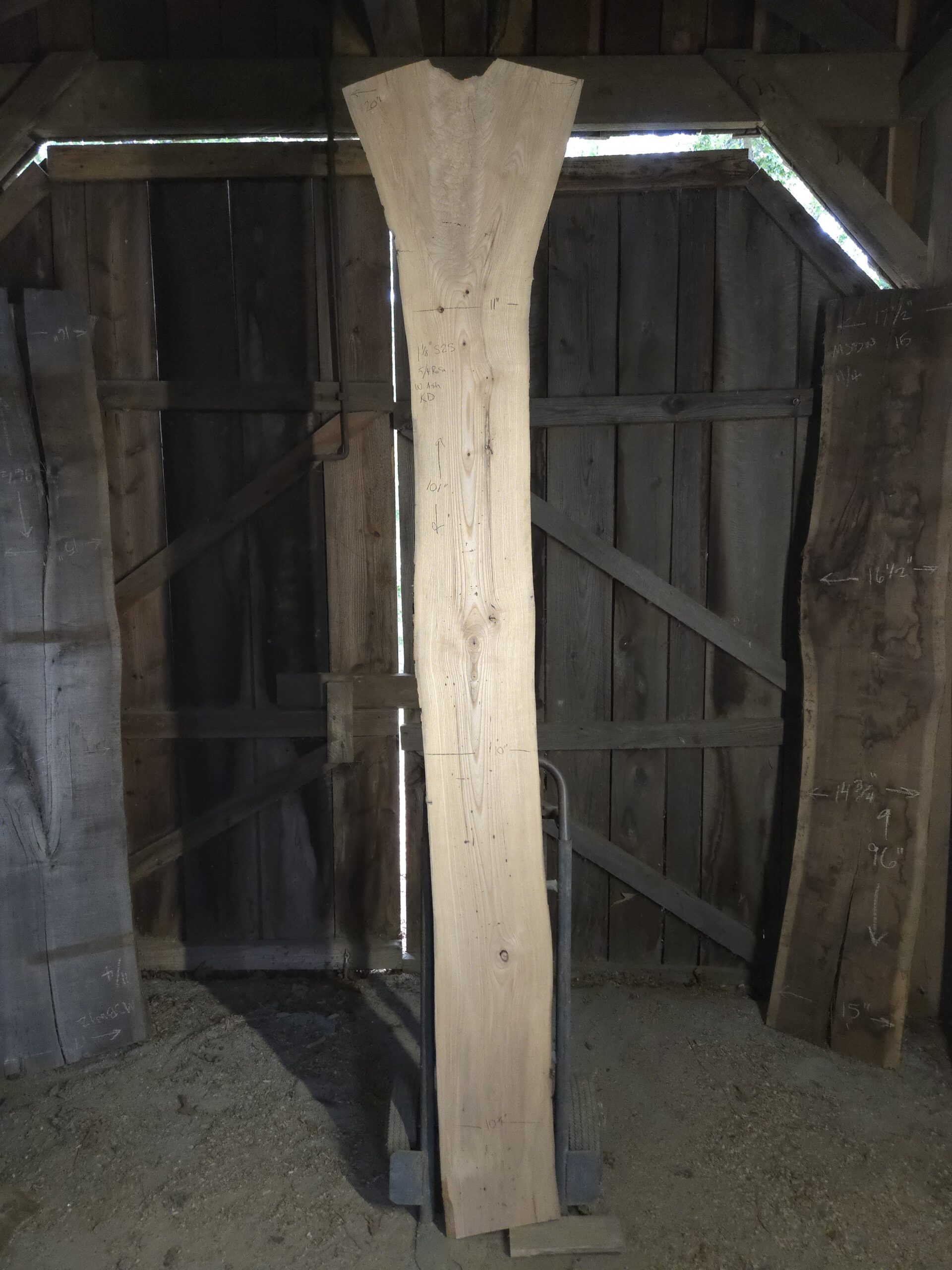 Ash – BroomHoll2 – #001